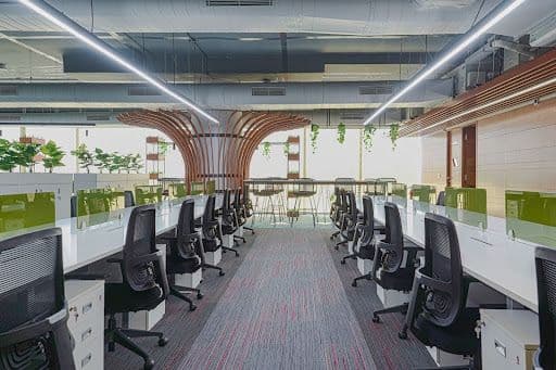 Open office with shared desks and plants